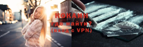 гашик Краснослободск