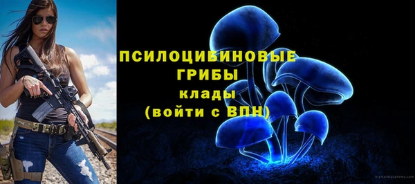 МДМА Лабытнанги